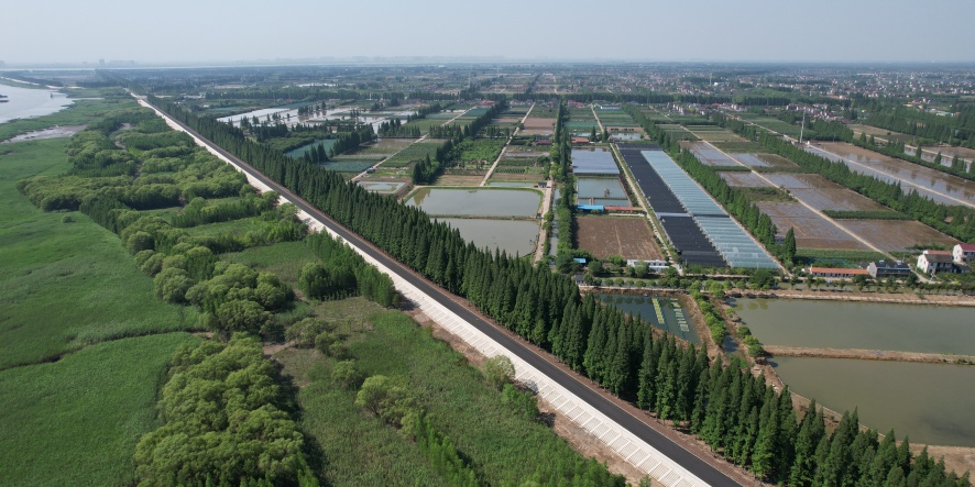 上海崇明岛环岛防汛提标及景观道工程