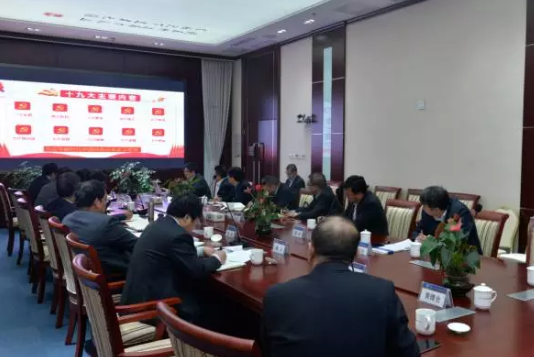 公司召开党委全委会专题学习党的十九大精神