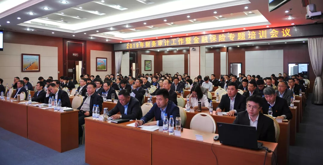 公司召开2019年财务审计工作会